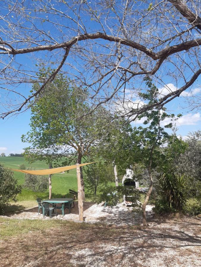 Agriturismo La Locandiera Montemerano Eksteriør billede