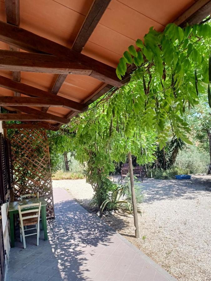 Agriturismo La Locandiera Montemerano Eksteriør billede
