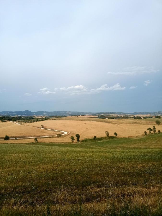 Agriturismo La Locandiera Montemerano Eksteriør billede