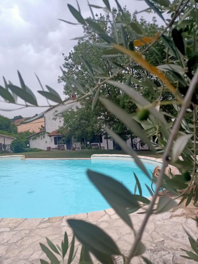 Agriturismo La Locandiera Montemerano Eksteriør billede