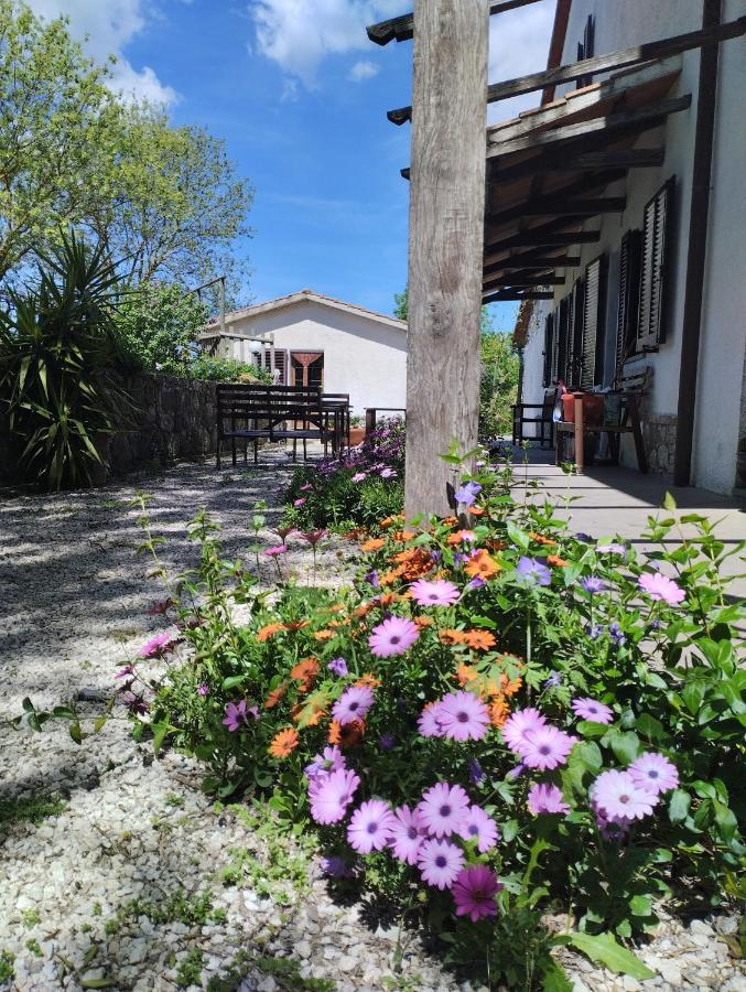 Agriturismo La Locandiera Montemerano Eksteriør billede