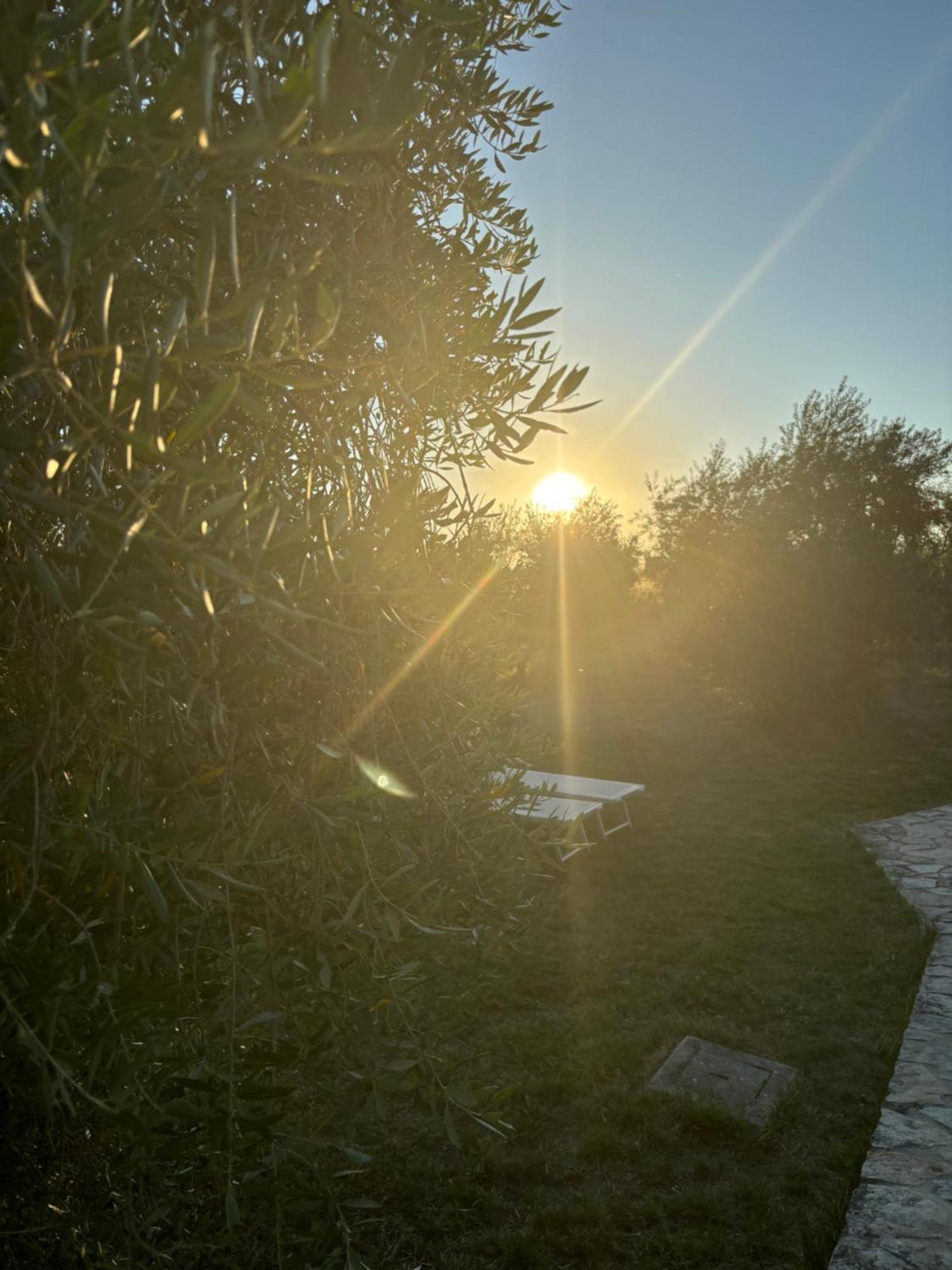 Agriturismo La Locandiera Montemerano Eksteriør billede